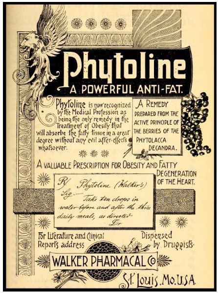 Een vintage advertentie van Phytoline, "a powerful anti-fat". Er wordt vermeld dat het product is erkend door de Medical Profession als de enige remedie voor obesitas die "will absorbe the fatty tissue in a great degree". Er wordt ook uitgelegd dat het hoofdbestanddeel de bessen zijn van de phytolacca decandra en dat het verkocht wordt door apothekers.